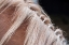 Picture of HORSE HEAD 2 DSC5495 COPY