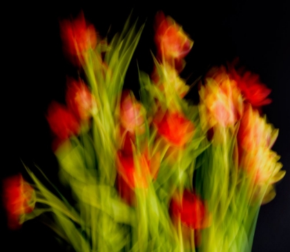 Picture of IMPRESSIONIST FLOWERS