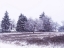 Picture of W1 1 DSC9934