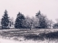 Picture of W1 5 DSC9934