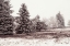 Picture of W6 2 DSC9925