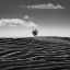 Picture of EMPIRE OF LONELINESS