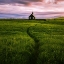 Picture of BLACK CHURCH