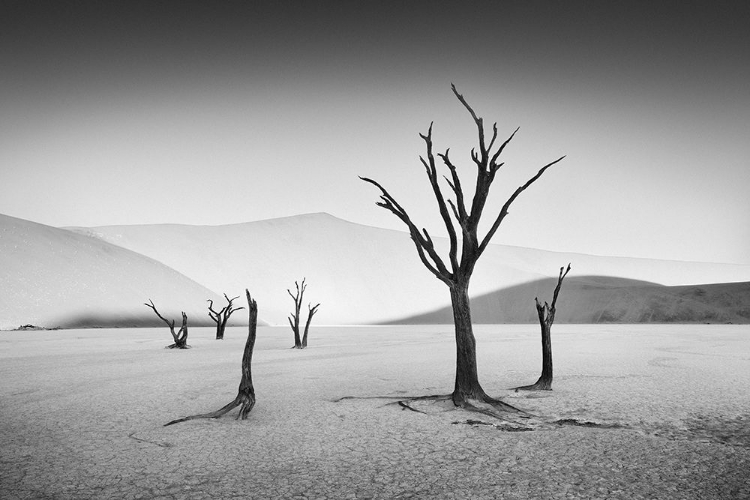 Picture of DEADVLEI