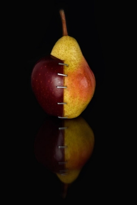 Picture of APPLE/PEAR OGM II