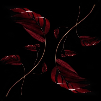 Picture of AUTUMN LEAVES
