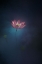 Picture of LOTUS