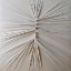Picture of THE WHITE BUTTERFLY