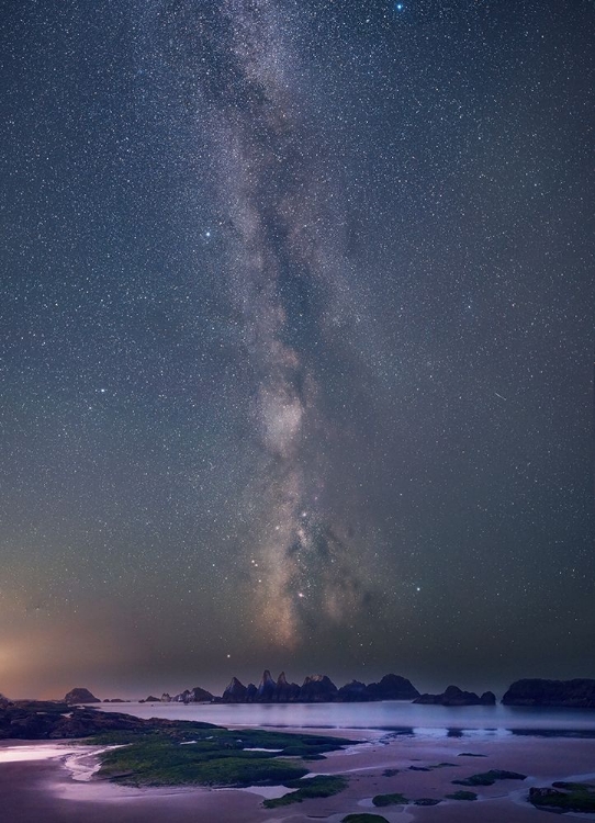 Picture of STARRY OREGON COAST