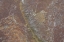 Picture of TEX SURFACE S18
