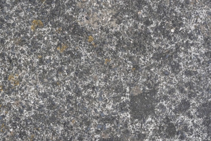 Picture of TEX SURFACE S17