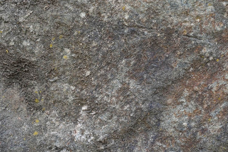 Picture of TEX SURFACE S41