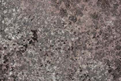 Picture of TEX SURFACE S38