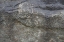 Picture of TEX SURFACE S32