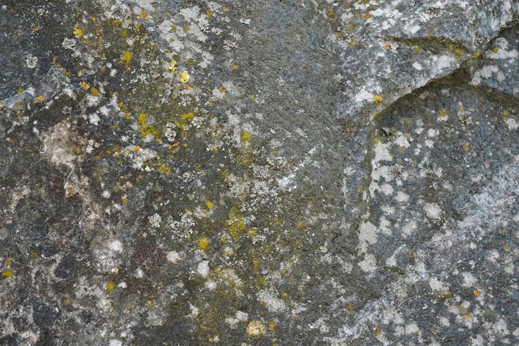 Picture of TEX SURFACE S45