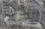 Picture of TEX SURFACE S36