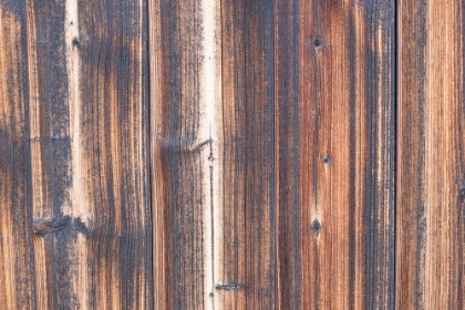 Picture of TEX SURFACE WOOD 2