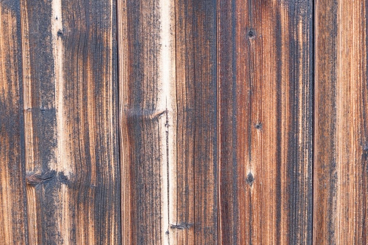 Picture of TEX SURFACE WOOD 2