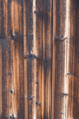Picture of TEX SURFACE WOOD 6
