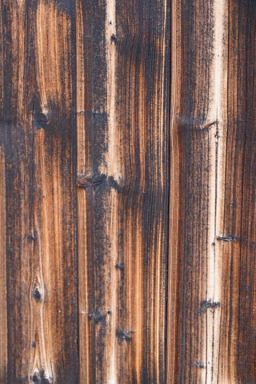 Picture of TEX SURFACE WOOD 6