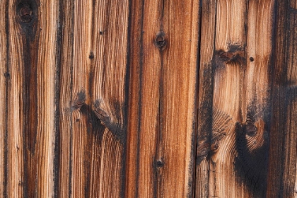 Picture of TEX SURFACE WOOD 9