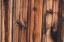 Picture of TEX SURFACE WOOD 9