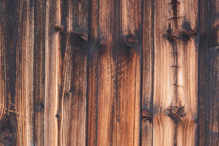 Picture of TEX SURFACE WOOD 1