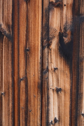 Picture of TEX SURFACE WOOD 10