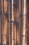 Picture of TEX SURFACE WOOD 6