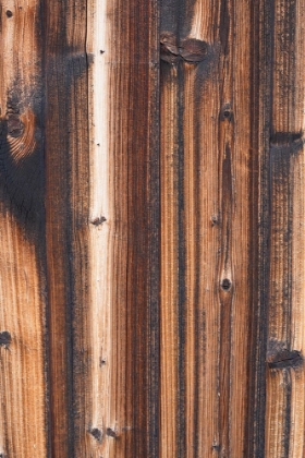 Picture of TEX SURFACE WOOD 8
