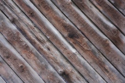 Picture of TEX SURFACE WOOD 14