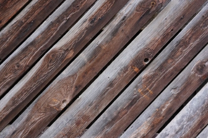 Picture of TEX SURFACE WOOD 15