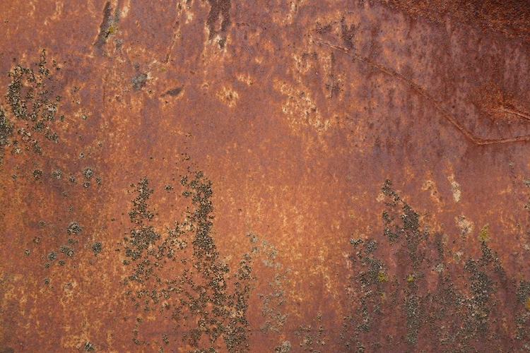 Picture of RUST 32