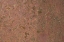 Picture of RUST 23