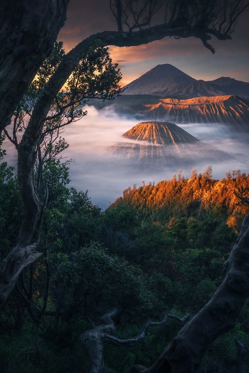 Picture of FIRST GLIMPSES OF MOUNT BROMO