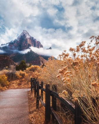 Picture of THE TRAIL TO THE ROCK