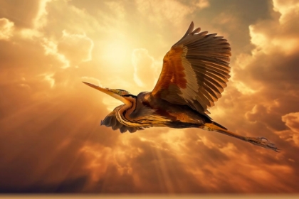 Picture of SKY HERON