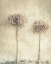 Picture of 2...