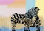Picture of MAMA ZEBRA AND BABY