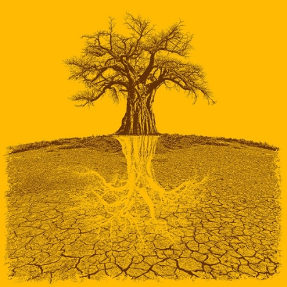 Picture of BAOBAB MYTHICAL ROOTS DEEPER YELLOW (H)