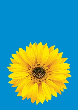 Picture of SUNFLOWER ON BLUE (H)