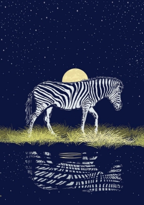 Picture of ZEBRA AT WATERHOLE MOONRISE