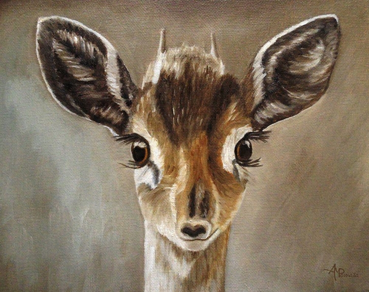 Picture of BIG EYES DIK DIK