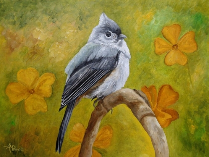Picture of BIG EYED TUFTED TITMOUSE