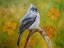 Picture of BIG EYED TUFTED TITMOUSE