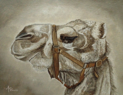 Picture of CAMEL PORTRAIT