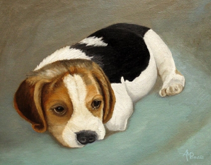 Picture of CUTE BEAGLE