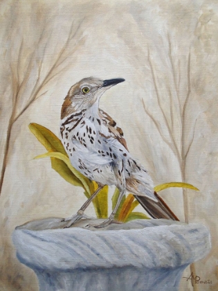 Picture of EARLY BROWN THRASHER