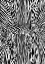 Picture of AFRICAN ZEBRA STRIKING CAMOUFLAGE