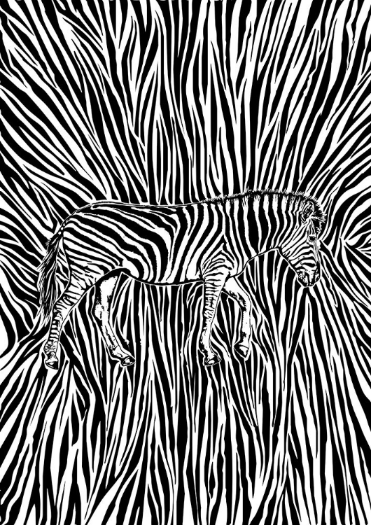 Picture of AFRICAN ZEBRA STRIKING CAMOUFLAGE